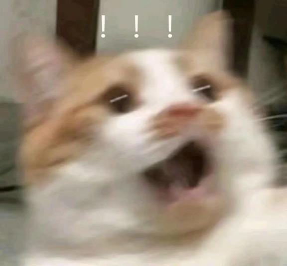 202306211228308348.Jpeg